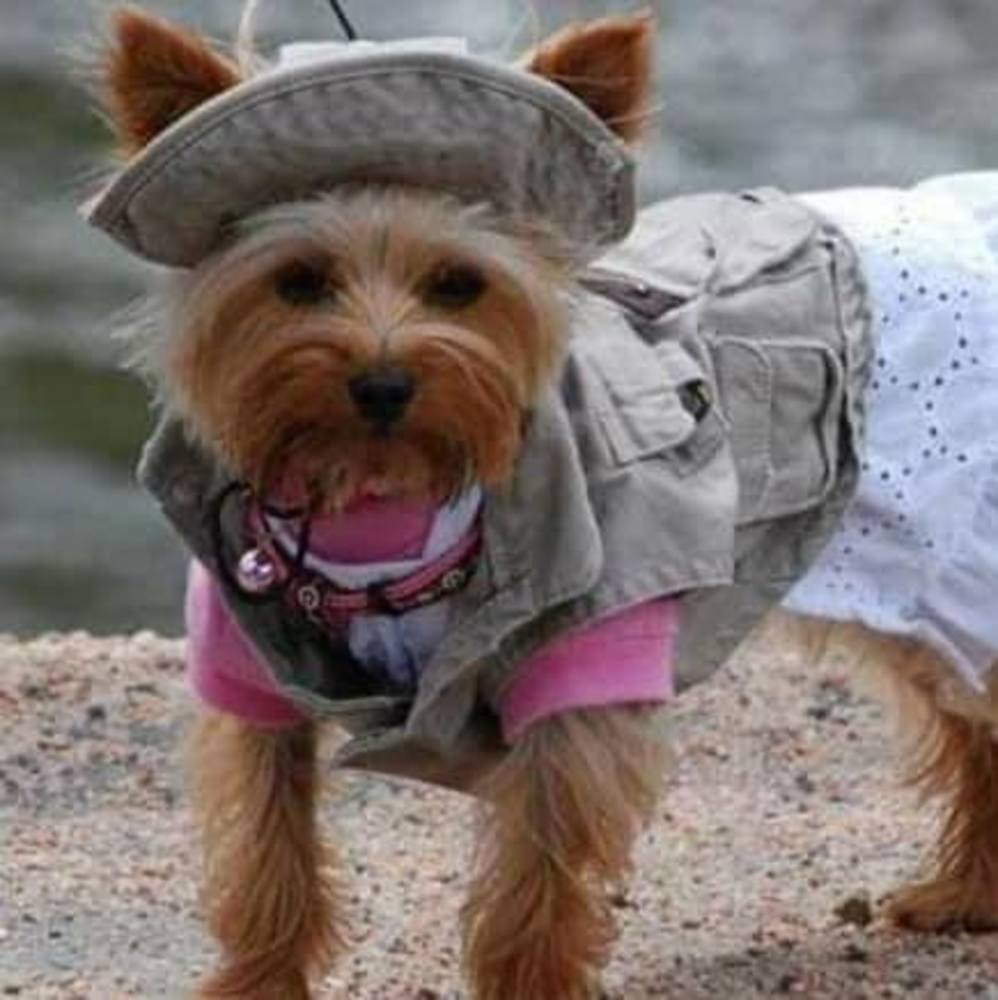 Meet your Posher, Bev